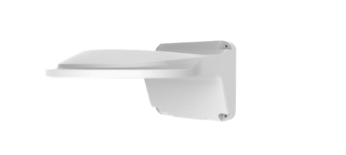 Fixed Dome Wall Mount